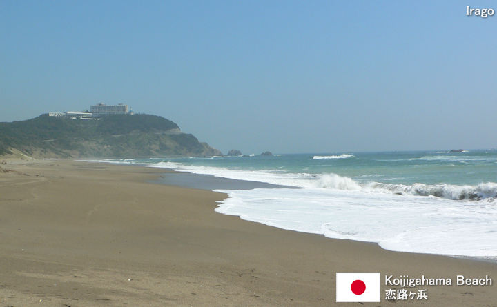 Koijigahama Beach Tourist Guide