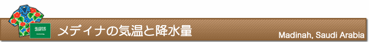 メディナの気温と降水量
