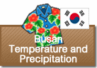Dallas Temperature and Precipitation
