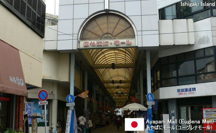 Ayapani Mall (Euglena Mall)