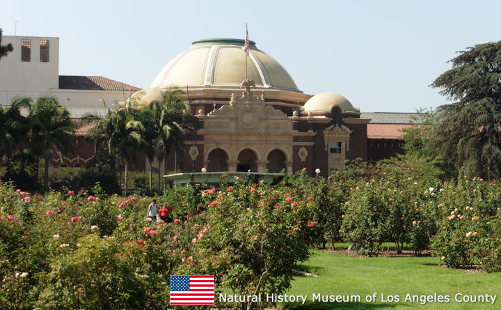 Natural History Museum of Los Angeles County