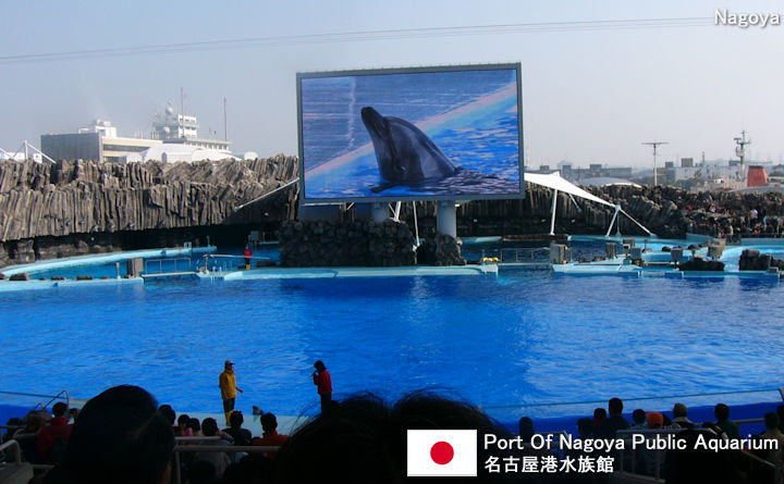 Port Of Nagoya Public Aquarium Tourist Guide