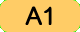 A1