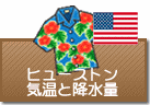 ヒューストンの気温と降水量